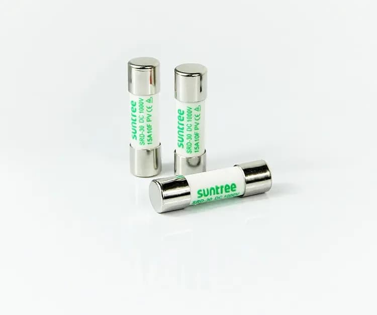 30A Ceramic Fuse